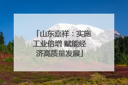 山东嘉祥：实施工业倍增 赋能经济高质量发展