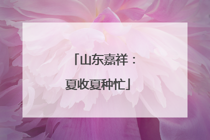 山东嘉祥：夏收夏种忙