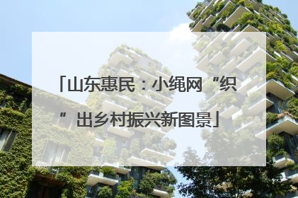 山东惠民：小绳网“织”出乡村振兴新图景