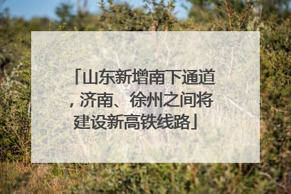 山东新增南下通道，济南、徐州之间将建设新高铁线路