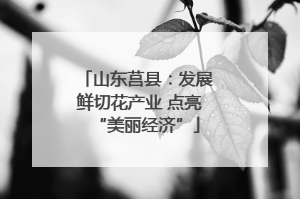 山东莒县：发展鲜切花产业 点亮“美丽经济”