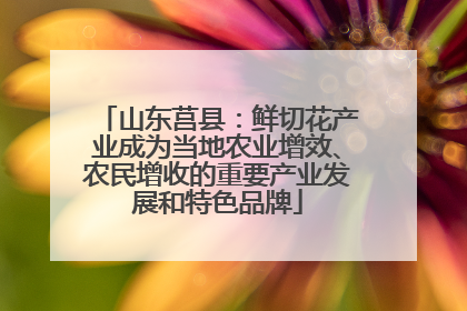 山东莒县：鲜切花产业成为当地农业增效、农民增收的重要产业发展和特色品牌
