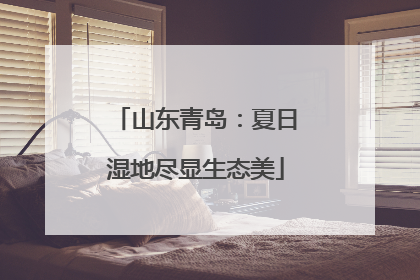 山东青岛：夏日湿地尽显生态美