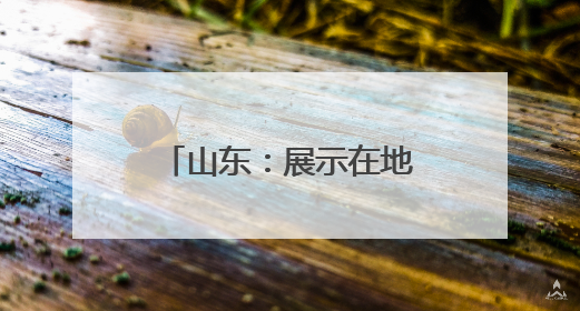 山东：展示在地头 选种有准头