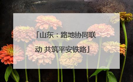 山东：路地协同联动 共筑平安铁路