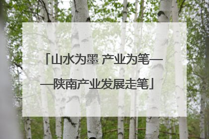 山水为墨 产业为笔——陕南产业发展走笔