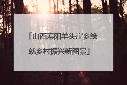 山西寿阳羊头崖乡绘就乡村振兴新图景