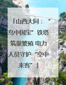 山西大同：“鸟中国宝”铁塔筑巢繁殖 电力人员守护“空中来客”