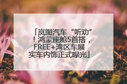 岚图汽车“听劝”！鸿蒙座舱5首搭，FREE+湾区车展实车内饰正式曝光