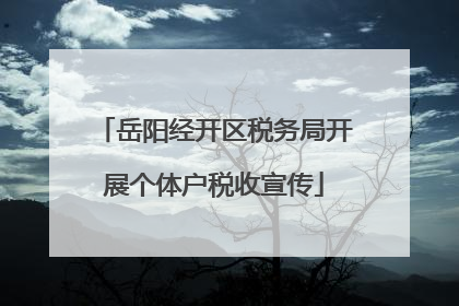 岳阳经开区税务局开展个体户税收宣传