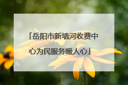 岳阳市新墙河收费中心为民服务暖人心