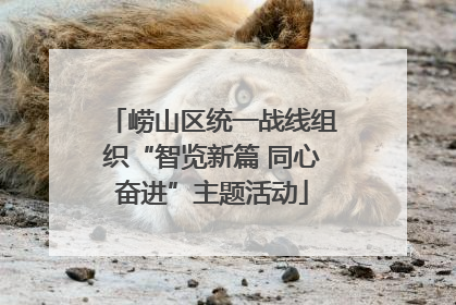 崂山区统一战线组织“智览新篇 同心奋进”主题活动