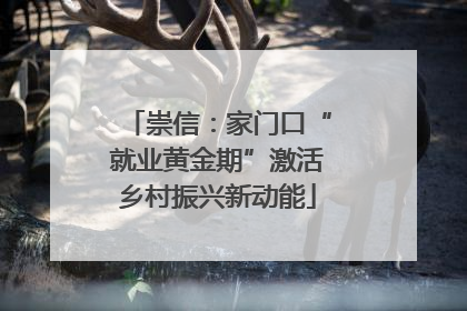 崇信：家门口“就业黄金期”激活乡村振兴新动能