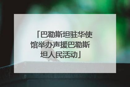 巴勒斯坦驻华使馆举办声援巴勒斯坦人民活动