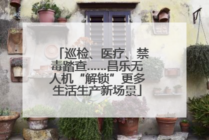 巡检、医疗、禁毒踏查……昌乐无人机“解锁”更多生活生产新场景