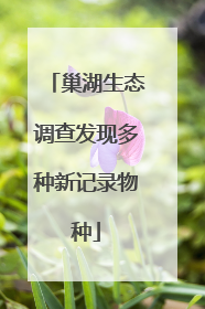 巢湖生态调查发现多种新记录物种