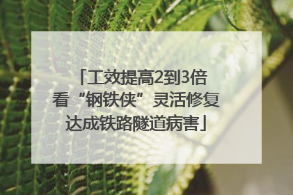 工效提高2到3倍 看“钢铁侠”灵活修复达成铁路隧道病害