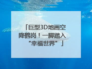巨型3D地画空降鹤岗！一脚踏入“幸福世界”