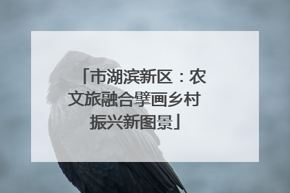 市湖滨新区：农文旅融合擘画乡村振兴新图景