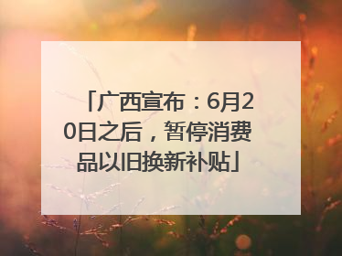 广西宣布：6月20日之后，暂停消费品以旧换新补贴