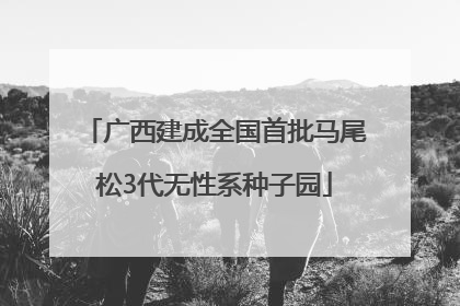 广西建成全国首批马尾松3代无性系种子园