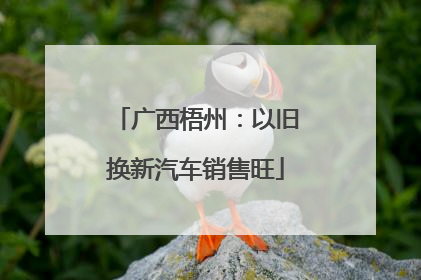 广西梧州：以旧换新汽车销售旺