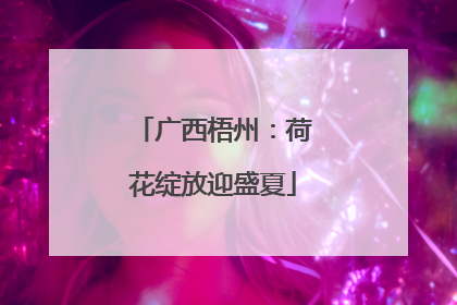 广西梧州：荷花绽放迎盛夏