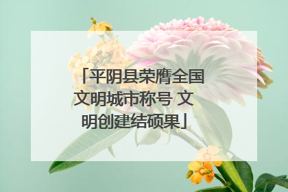 平阴县荣膺全国文明城市称号 文明创建结硕果