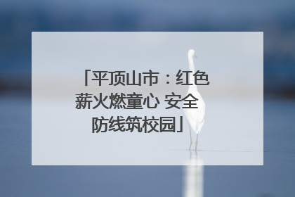 平顶山市：红色薪火燃童心 安全防线筑校园
