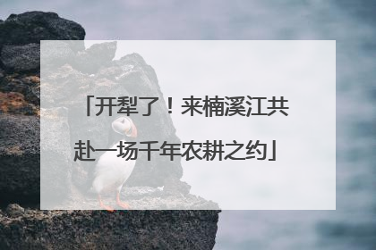 开犁了！来楠溪江共赴一场千年农耕之约