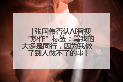 张国伟否认AI智搜“炒作”标签：骂我的大多是同行，因为我做了别人做不了的事