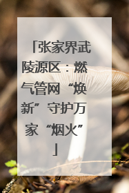 张家界武陵源区：燃气管网“焕新”守护万家“烟火”