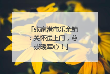 张家港市乐余镇：关怀送上门，尊崇暖军心！