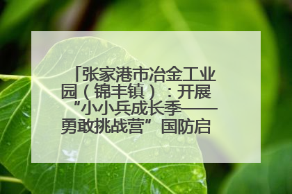 张家港市冶金工业园（锦丰镇）：开展“小小兵成长季——勇敢挑战营”国防启蒙教育活动