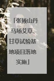 张掖山丹马场艾草、甘草试验基地项目落地实施