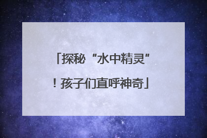 探秘“水中精灵”！孩子们直呼神奇