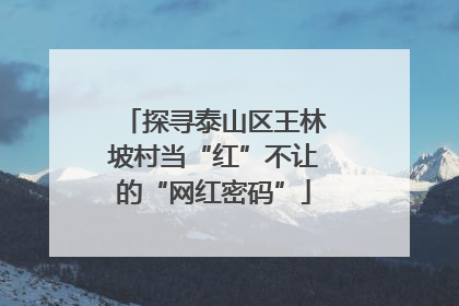 探寻泰山区王林坡村当“红”不让的“网红密码”