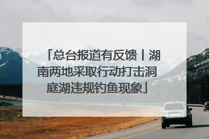 总台报道有反馈丨湖南两地采取行动打击洞庭湖违规钓鱼现象