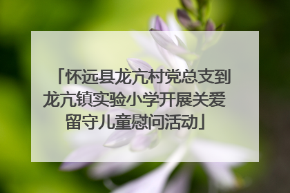 怀远县龙亢村党总支到龙亢镇实验小学开展关爱留守儿童慰问活动