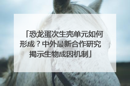 恐龙蛋次生壳单元如何形成？中外最新合作研究揭示生物成因机制