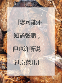 您可能不知道张鹏，但也许听说过京范儿
