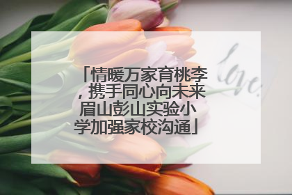 情暖万家育桃李，携手同心向未来 眉山彭山实验小学加强家校沟通