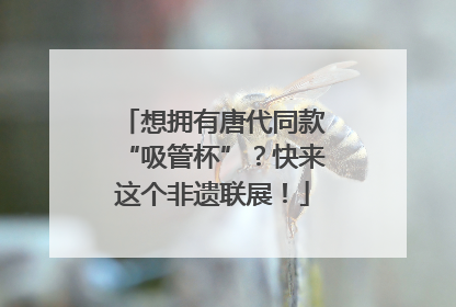 想拥有唐代同款“吸管杯”？快来这个非遗联展！