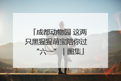 成都动物园 这两只黑猩猩萌宝陪你过“六一”｜图集