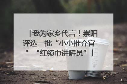 我为家乡代言！崇阳评选一批“小小推介官”“红领巾讲解员”