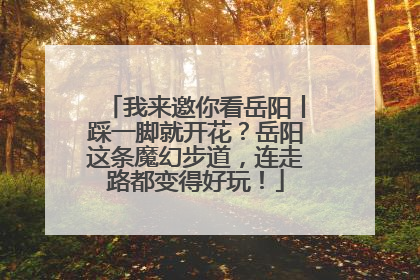 我来邀你看岳阳丨踩一脚就开花？岳阳这条魔幻步道，连走路都变得好玩！