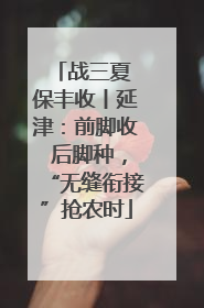 战三夏 保丰收丨延津：前脚收 后脚种，“无缝衔接”抢农时