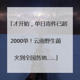 才开始，单日寄件已超2000单！云南野生菌火到全国各地……