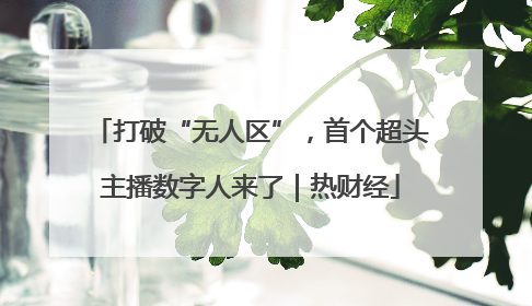 打破“无人区”，首个超头主播数字人来了｜热财经