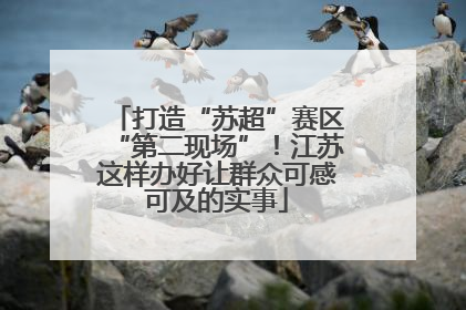 打造“苏超”赛区“第二现场”！江苏这样办好让群众可感可及的实事